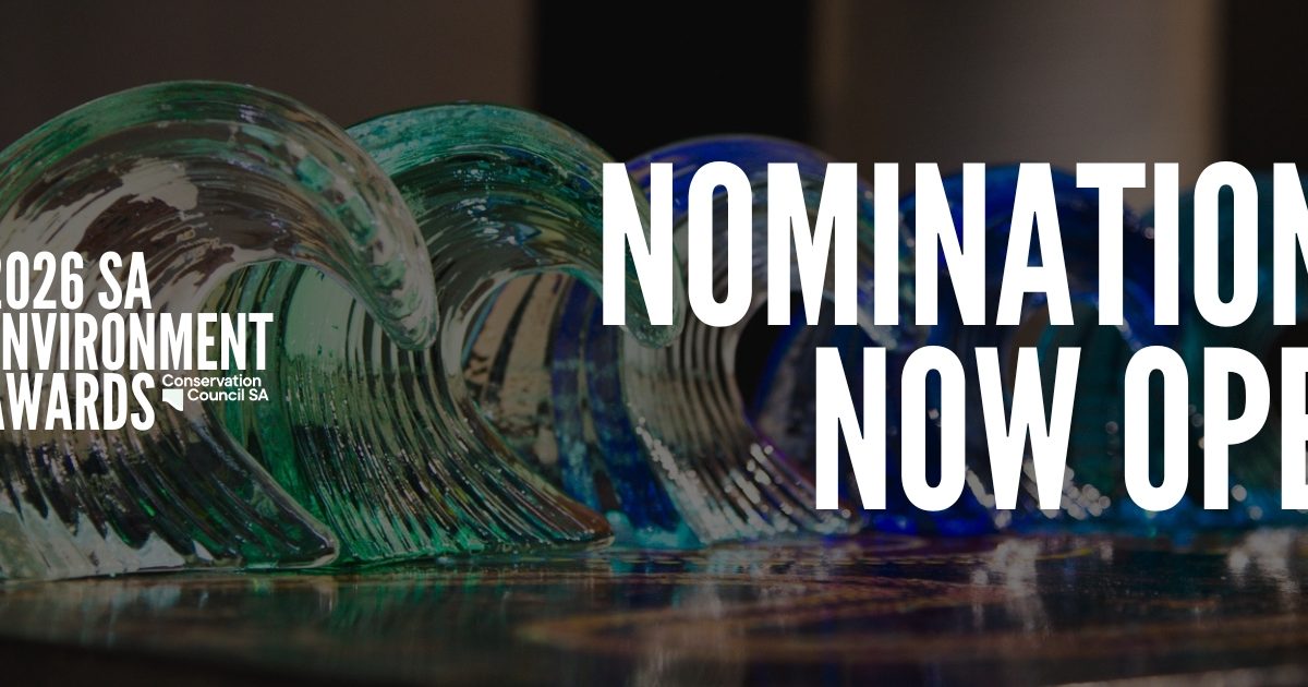 Nominations open for the 2026 SA Environment Awards | Green Adelaide