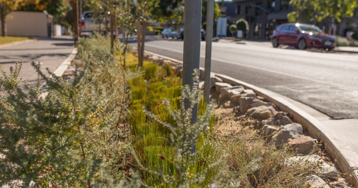 $1 million boost for metropolitan environmental… | Green Adelaide