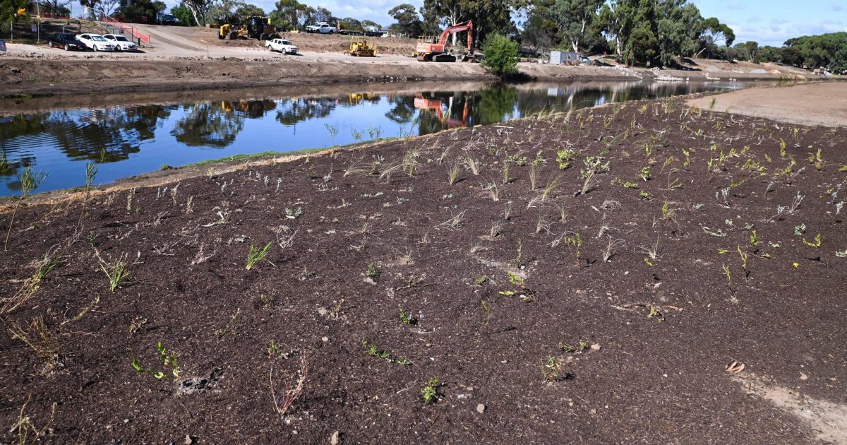 New nature space is taking shape in Adelaide’s west | Green Adelaide