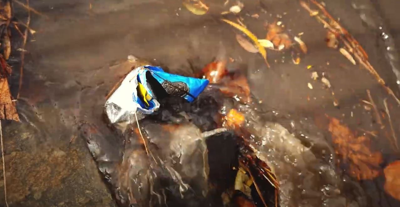 5 unusual things found in the River Torrens / Karrawirra Pari – and how ...