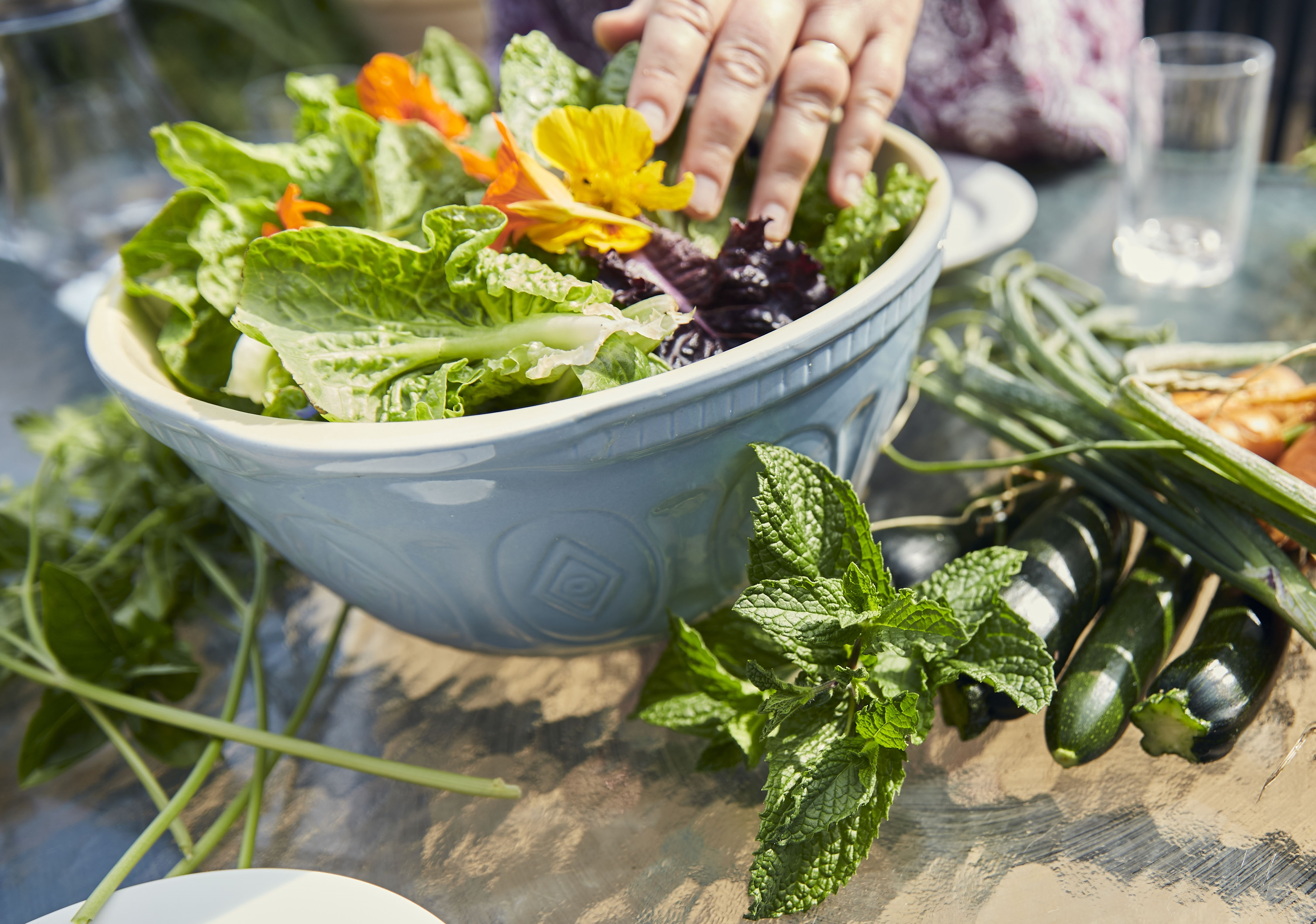 Get started with food gardening - Green Adelaide