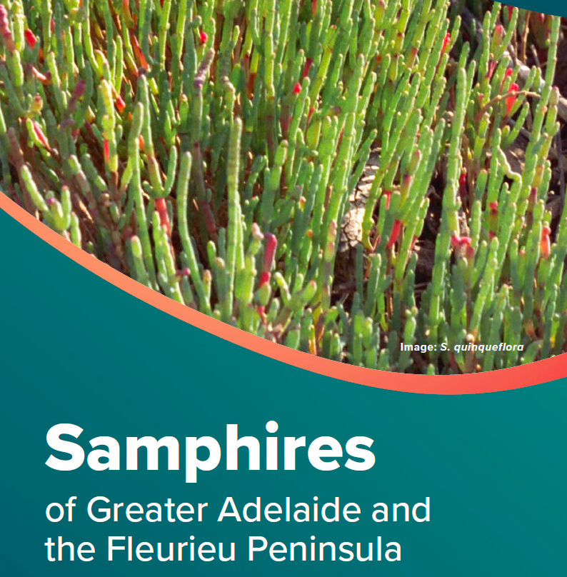 Samphires of Greater Adelaide and the Fleurieu Peninsula - Green Adelaide