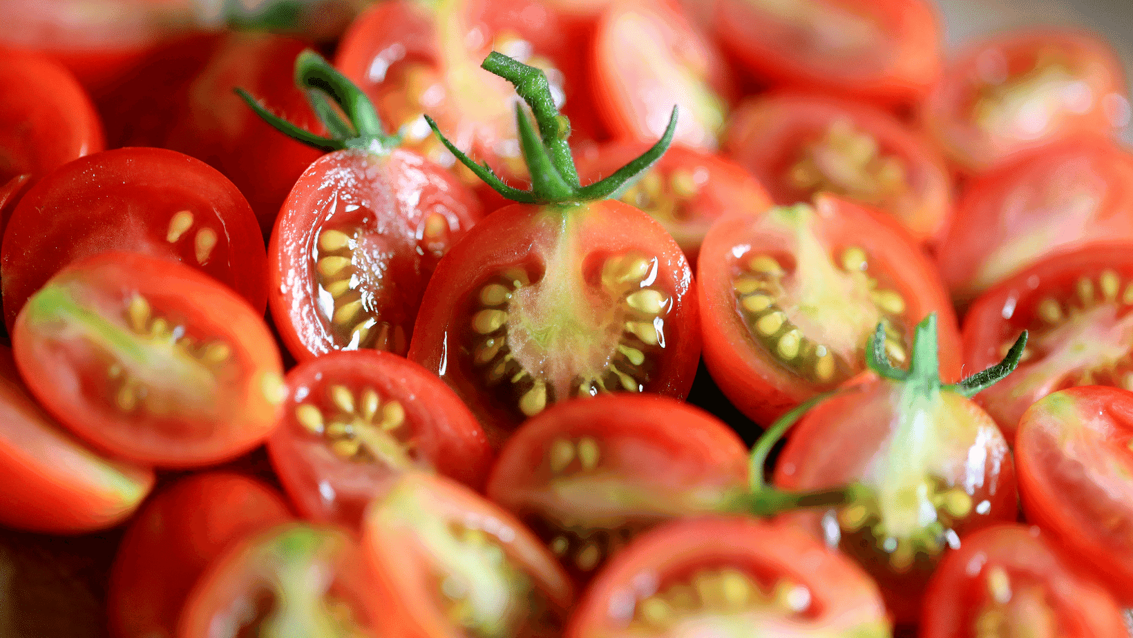 tomatoes cut in half