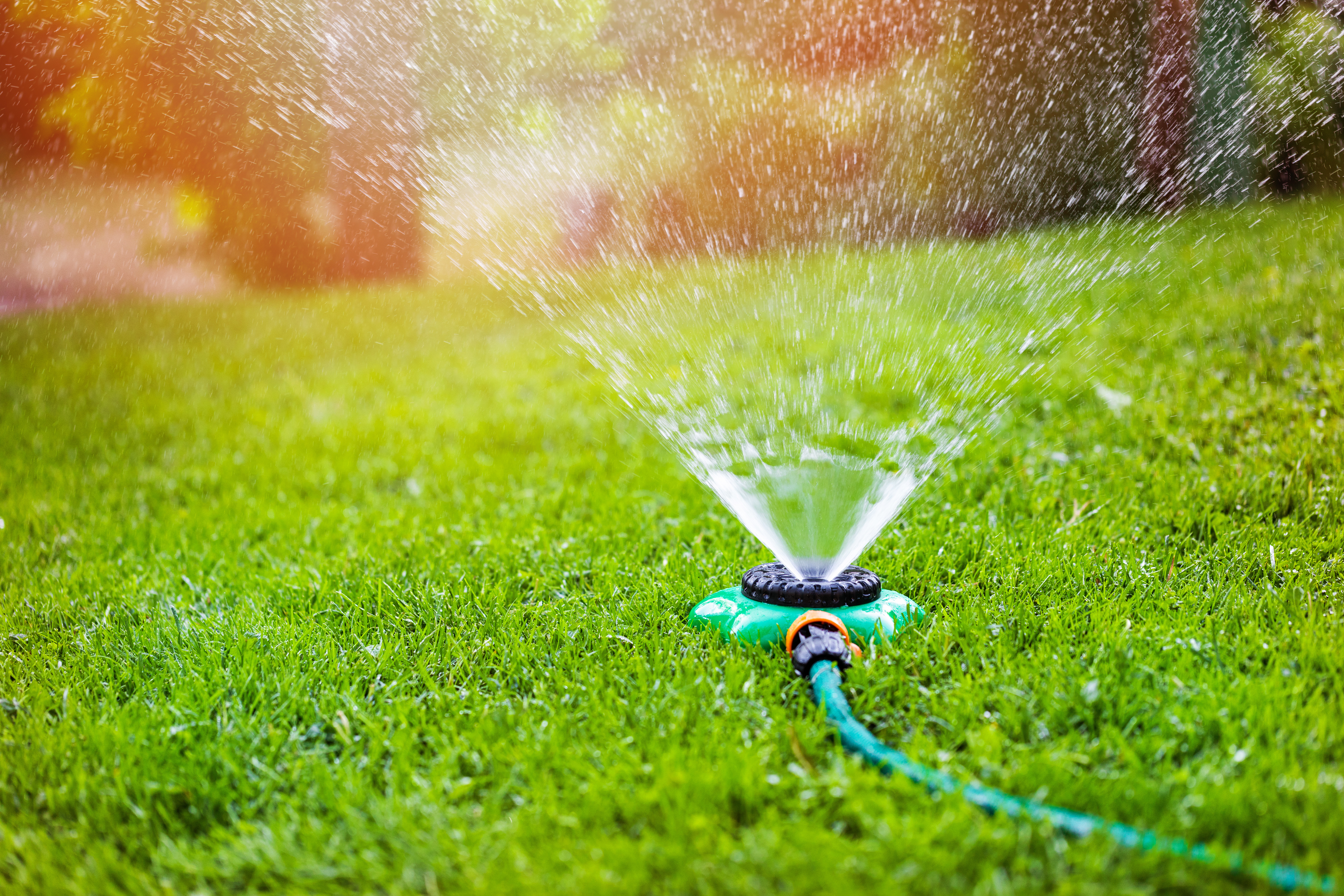 Watering a lawn