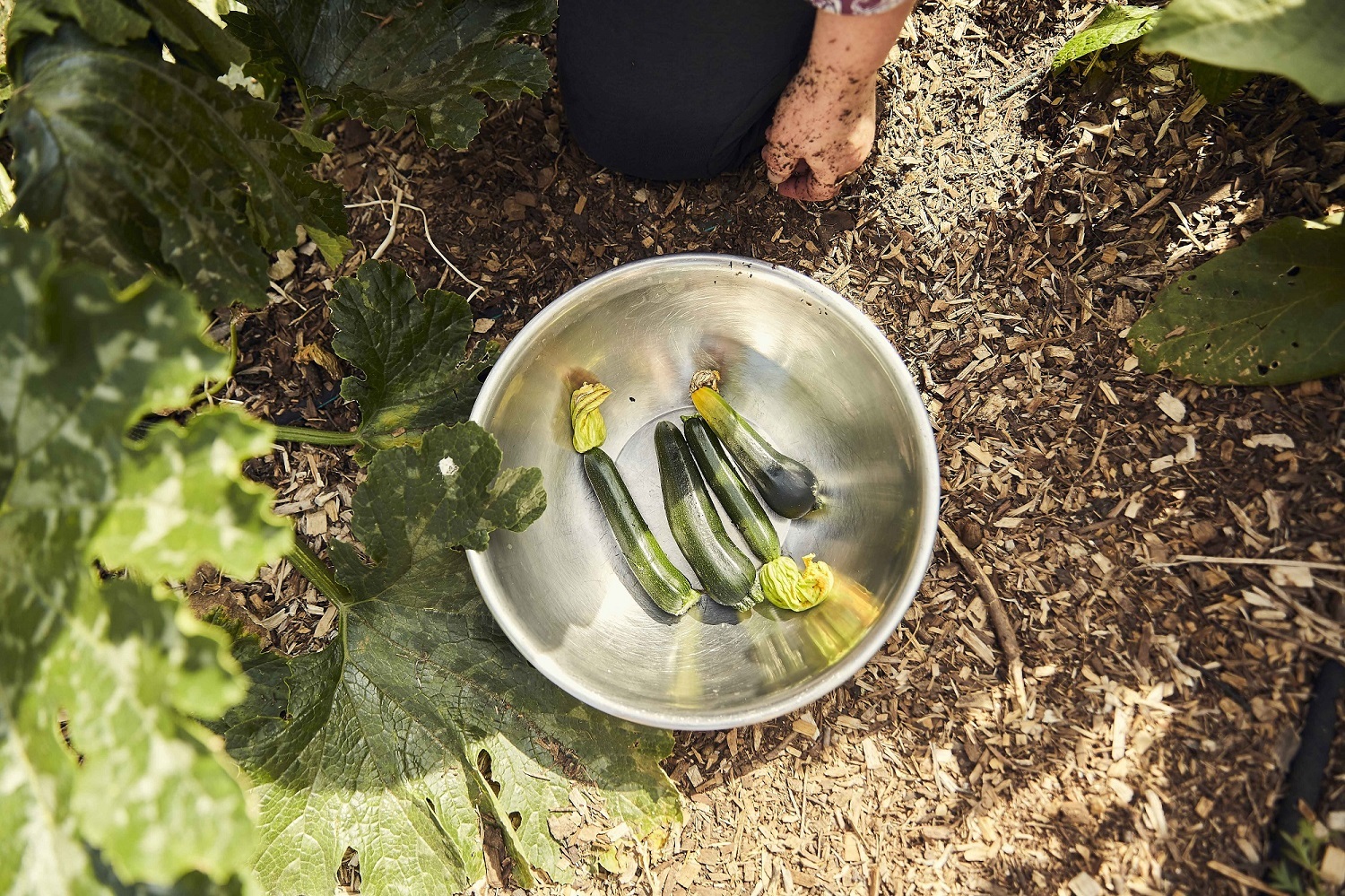 zucchinis in a silver bowl